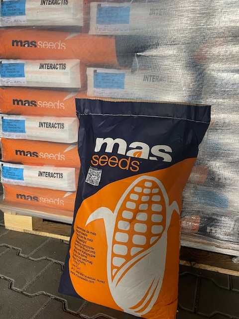 Kukurydza INTERACTIS nowość MAS oryginał Francja