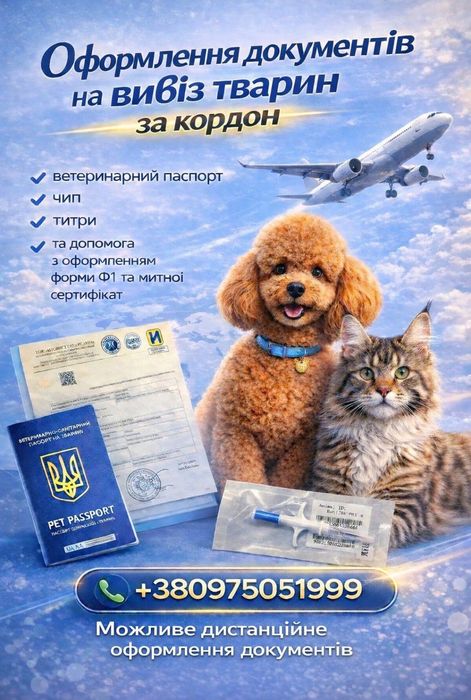 Мальтіпу хлопчики і дівчата.