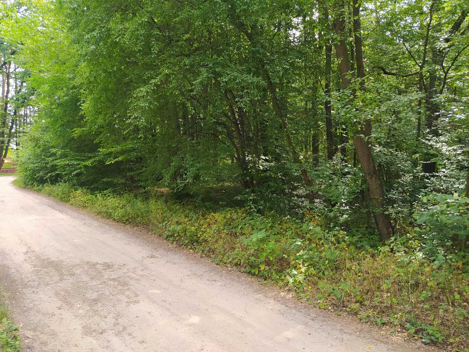 Działka budowlana 1,677 m2 - Sokolniki Las