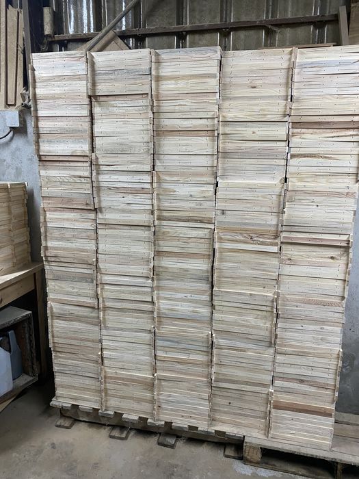 Quadros colmeia modelo lusitana