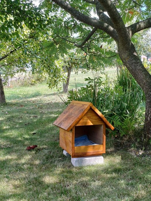 Buda / Domek dla kota