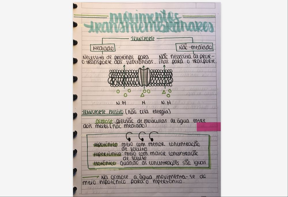 Resumos para preparação de exame nacional IAVE Biologia e Geologia