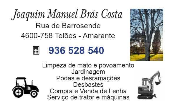 Jardinagem e limpezas