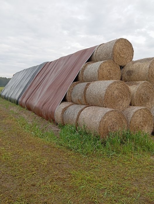 Sprzedam siano i słomę