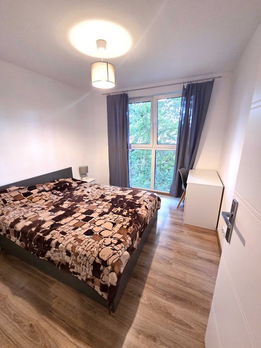 Mieszkanie do wynajęcia - 43 m² - 2 pokoje - Sosnowiec centrum ul. Kiepury 1 - Widok 4