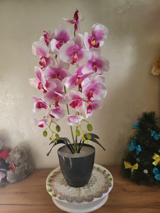 Орхідея латексна  !!! і шовкові !!!