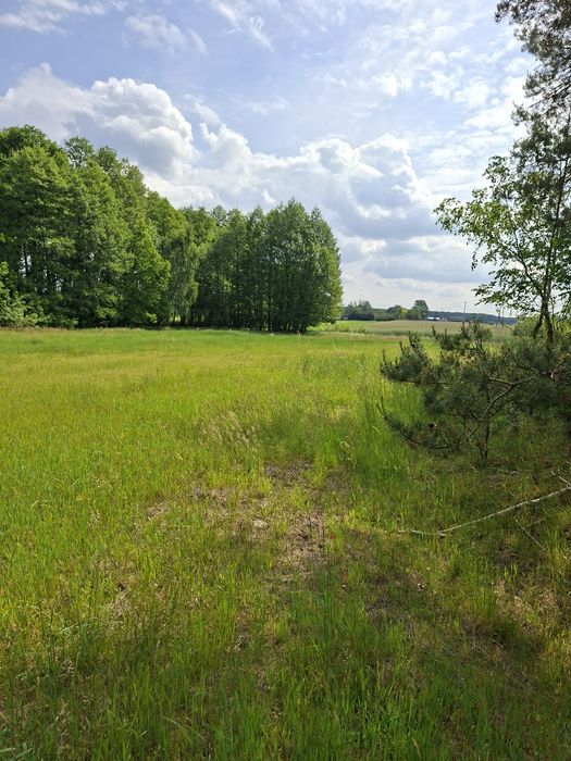 Działka 5300 m²  Jelenie gm. Kraszewice - Widok 4