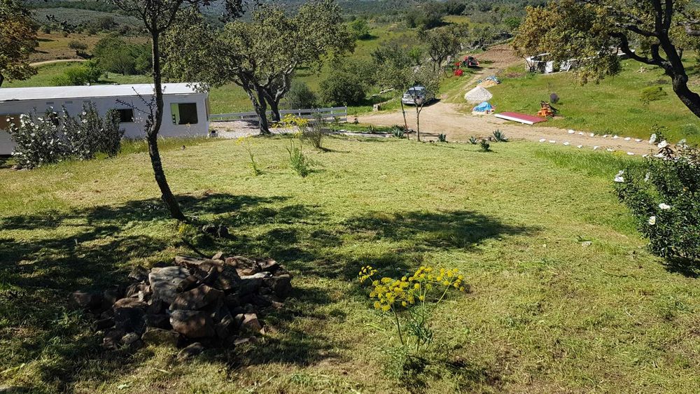 Quinta rica em água em Martim Longo