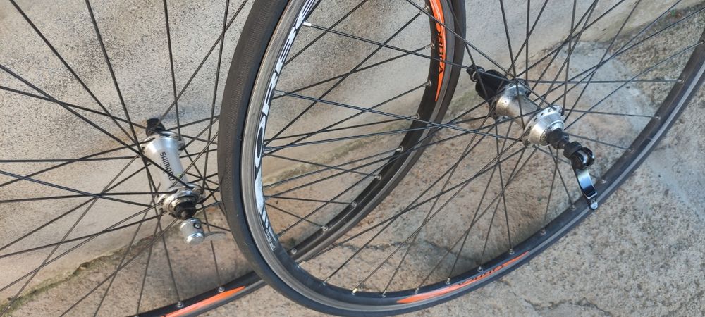 Roda bicicleta orbea