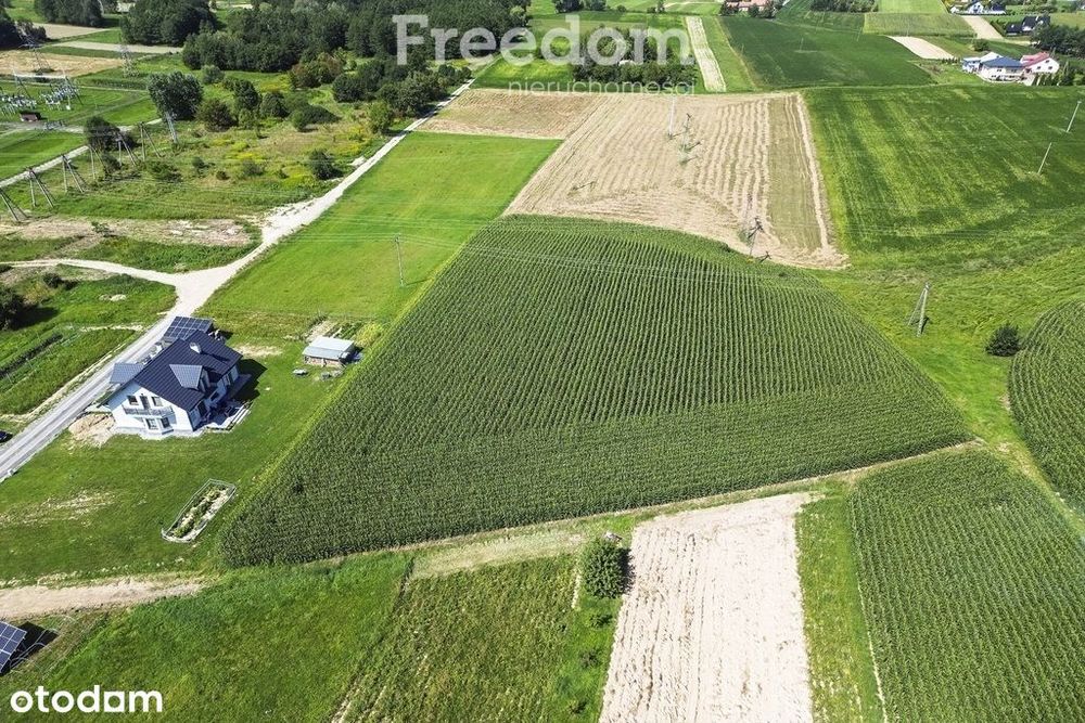 Działka z warunakmi zabudowy 62,97 ar Dynów