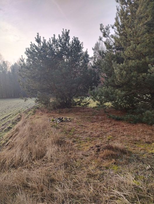 Grabszczyzna Działka Budowlana Cisza,Prywatnosc,Natura !!!