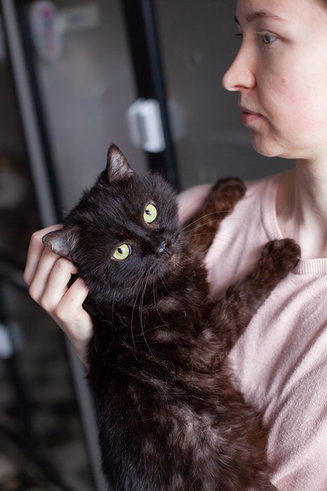 Зник кіт. Терміново шукаю чорного котика Барні