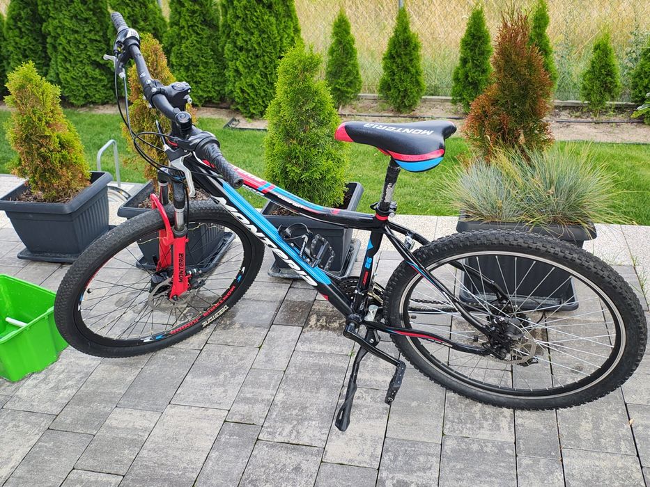 Rower Monteria Junior 26