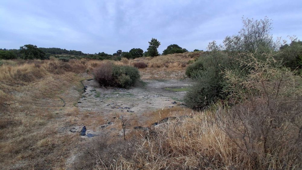 Terreno em São Miguel De Acha
