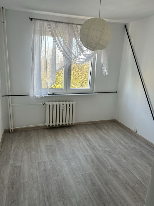 Mieszkanie dwu pokojowe do wynajecia