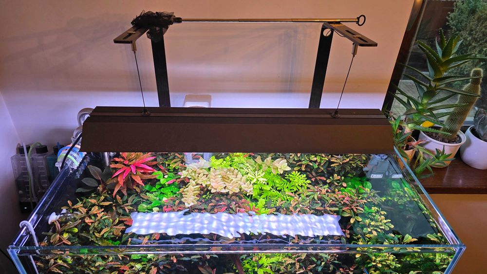 oświetlenie MicMol Master 600 - WRGB WiFi 84W