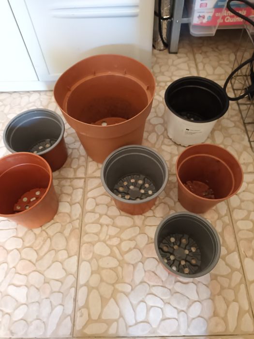 Lote 7 vasos de plástico