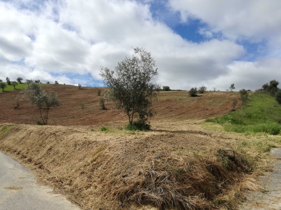 Terreno urbanizável em Moçarria com vista panorâmica de vários Km