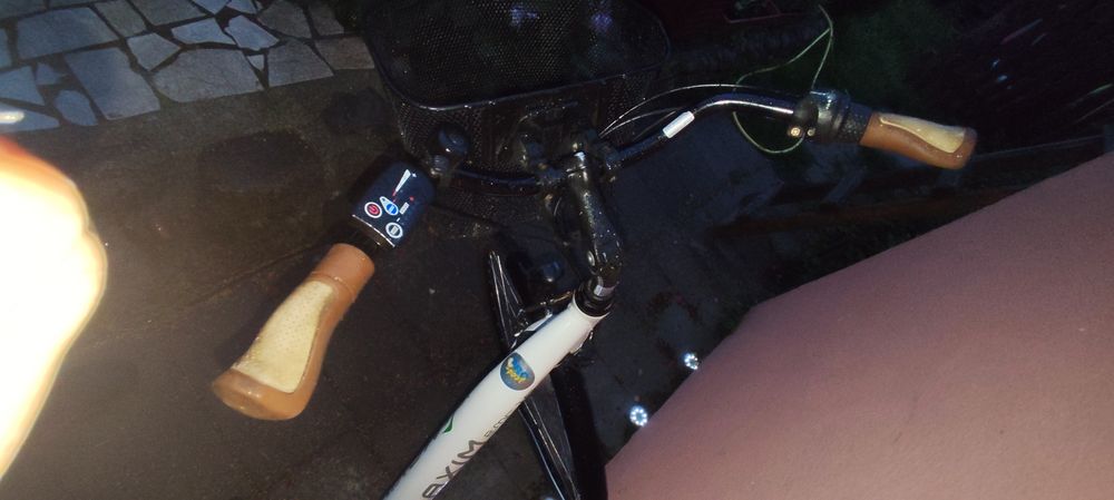 Rower damski Maxim