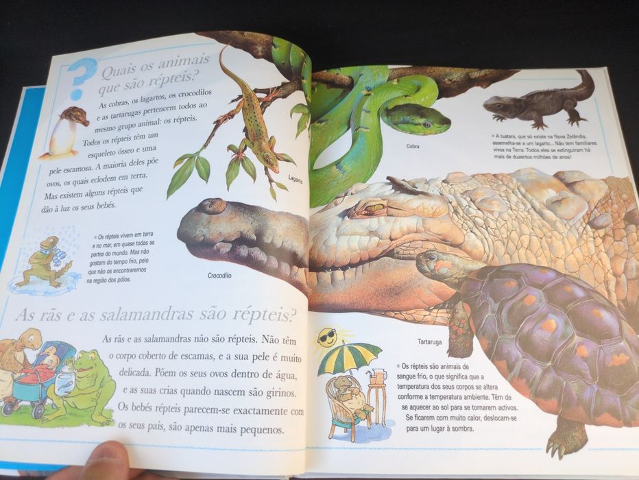 Porque Será Que as Cobras mudam a pele