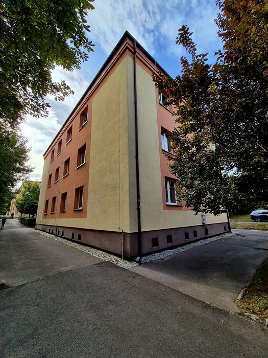 Zdjęcie 5