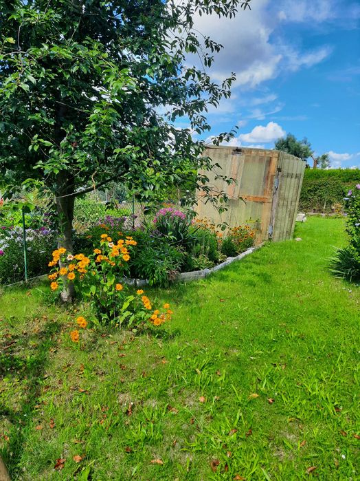 Działka rekreacyjna ROD