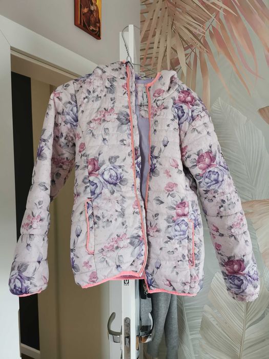 Kurka przejściowa Reserved 152