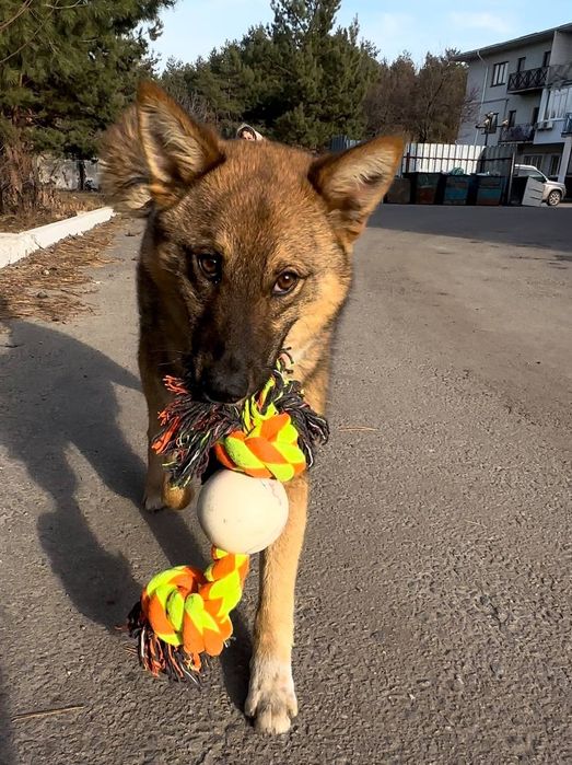 Чудовий хлопчик шукає сім'ю