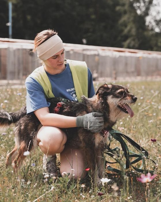 Sunia Nefra szuka domu