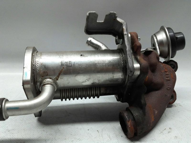 Radiador de gases / EGR RENAULT Megane III (BZ0_)