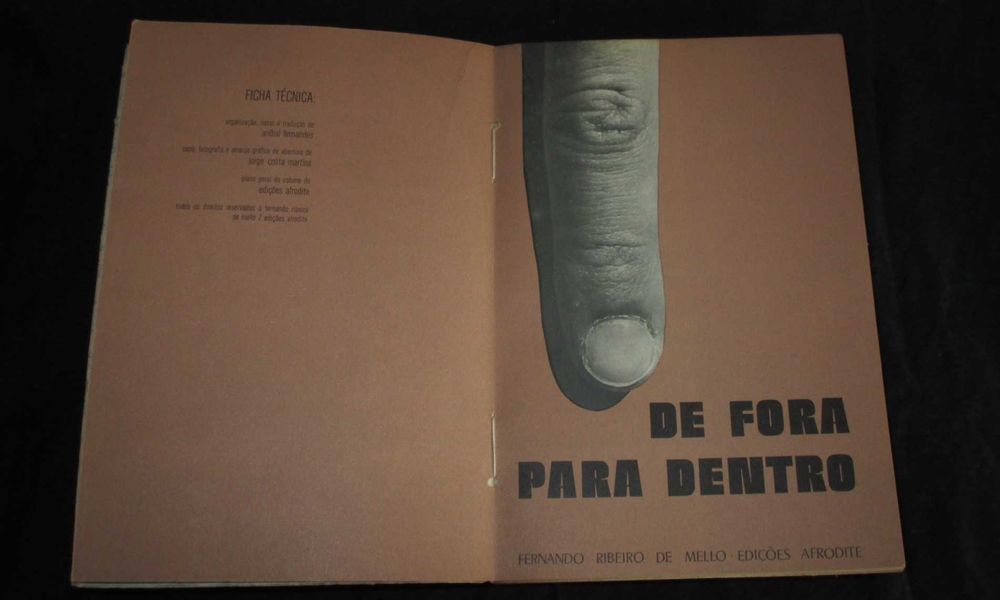Livro De Fora para Dentro Antologia Afrodite