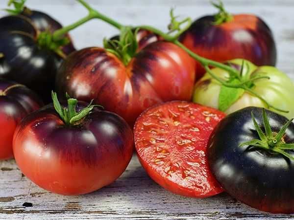 15 Sementes de Tomate Blue Beauty (raro)