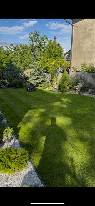 Косіння трави Тернопіль