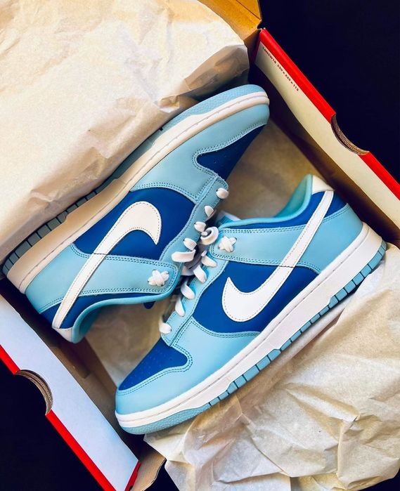 Nike Dunk Low Retro QS Argon r.44,5