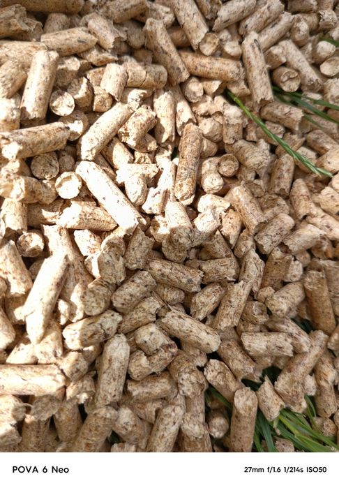 Наповнювач для котячого туалету