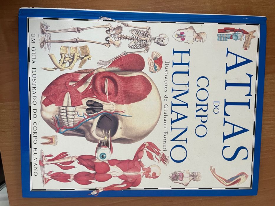 Livros vários conteúdos