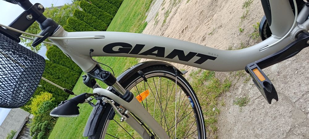 Rower damski GIANT