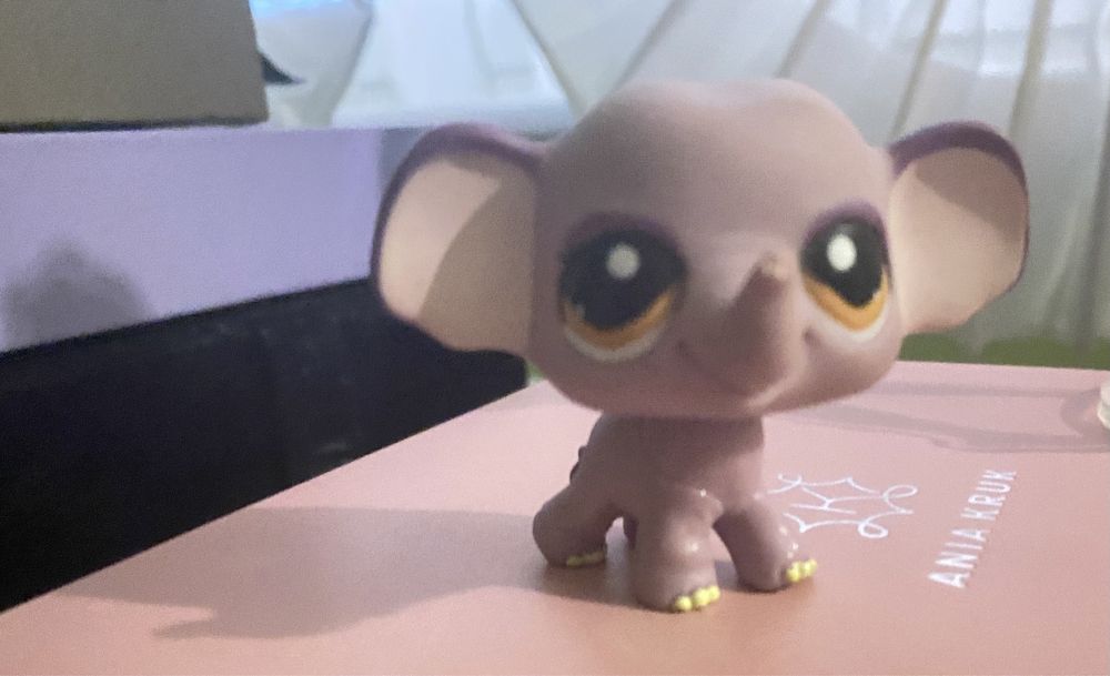 Littlest Pet Shop Figurki Olx LPS Littlest Pet Shop Shorthair