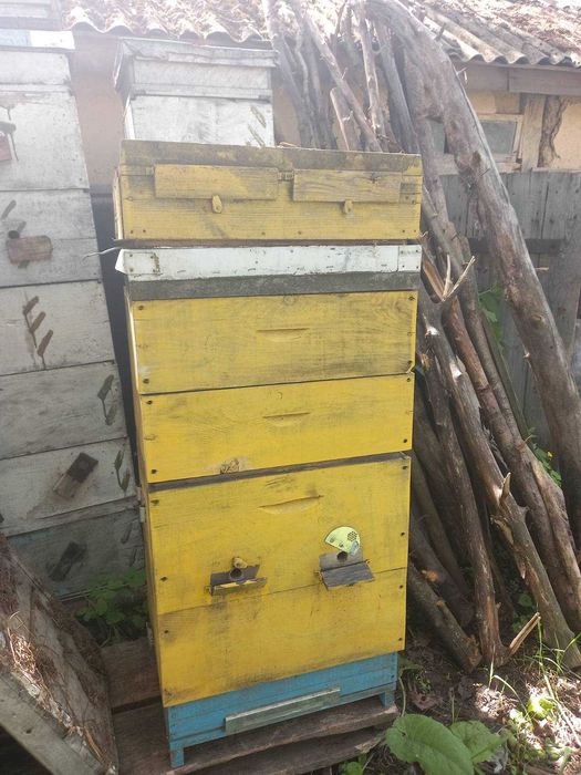 Вулики на українську рамку. Корпусні !!! Дешево. Самовивоз.