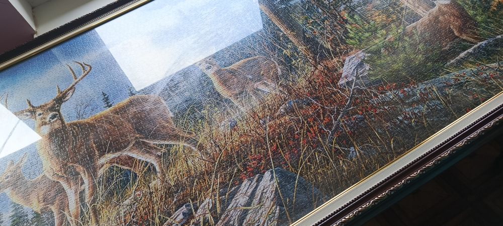 Королівська сім'я оленів