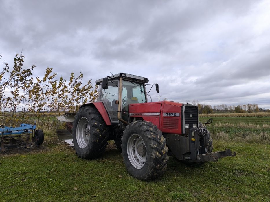 Massey Ferguson 3670, 170KM, TUZ, Zamiana