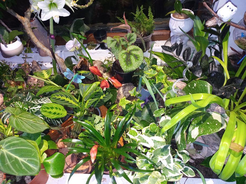 Piękny zielony zestaw