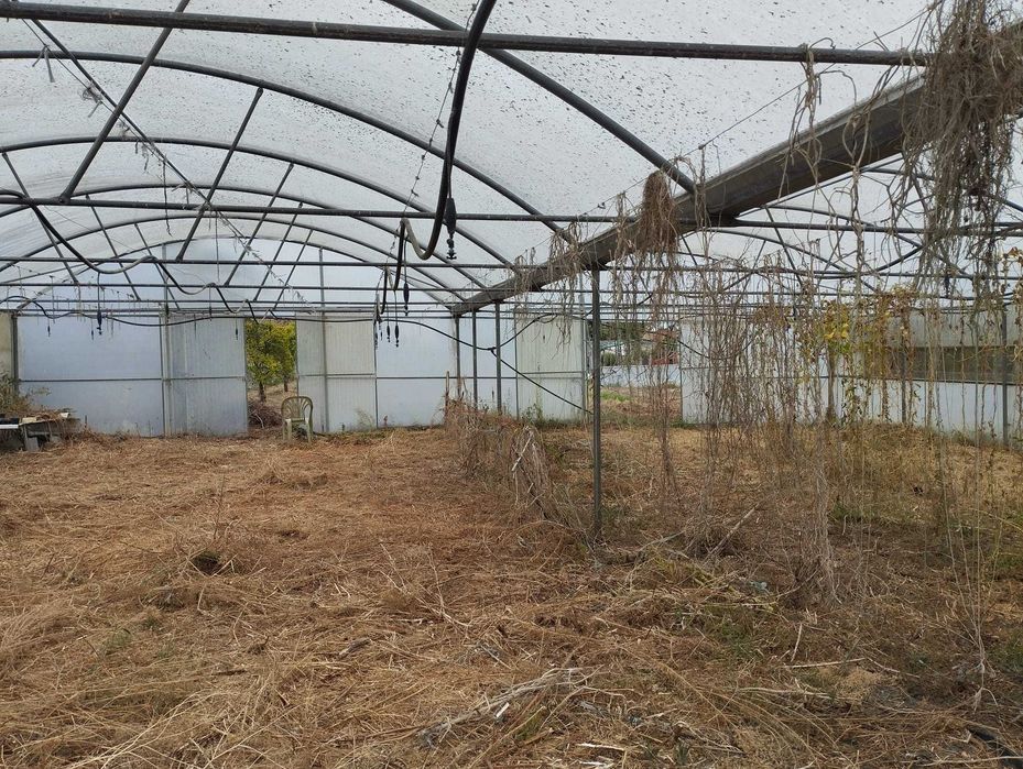 Estufa agrícola - excelente estado