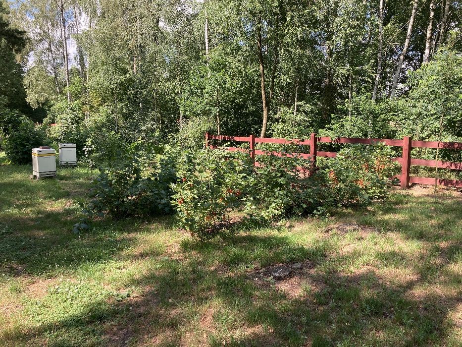 Działka przy ul. Poważe - Widok 4