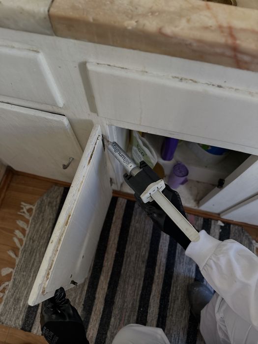DESINFESTAÇÃO CONTROLO D EPRAGAS PERCEVEJOS BARATAS PULGAS TÉRMITAS
