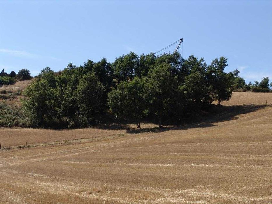 QUINTA_Bragança_Donai