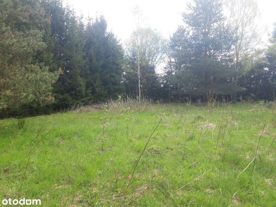 działka budowlana - prąd, gaz, woda w drodze Gminnej przed działką - Widok 5