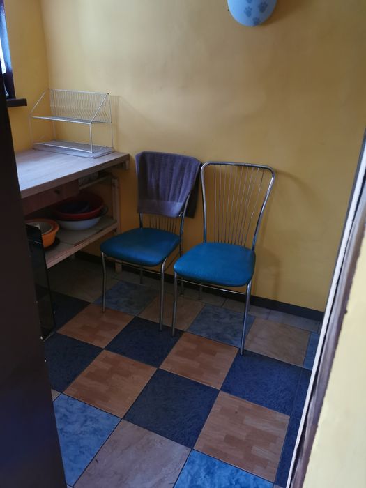 Działka ROD 279m2 Magnolia Grudziądz