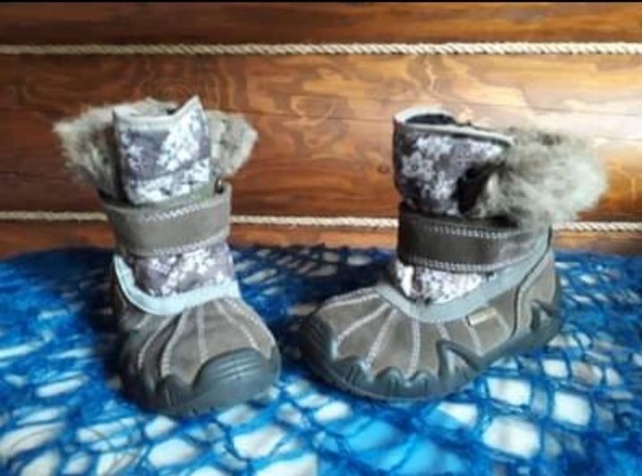 Buty Primigi Gore Tex r.24 zima