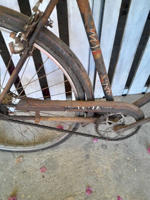 Antiguidades : bicicleta antiga